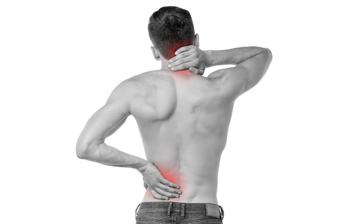 Can Turmeric help back pain?