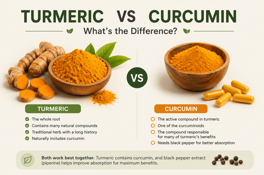 Turmeric vs Curcumin What's the Difference (UK Guide)